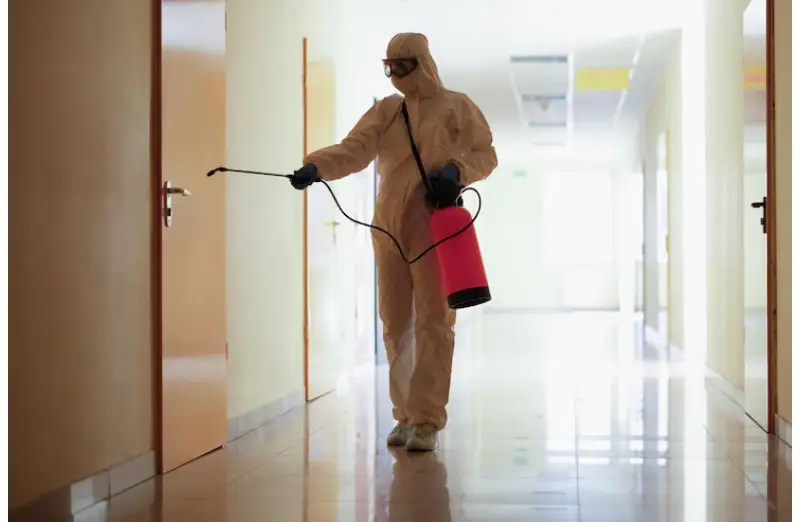 cockroach exterminator in Toronto