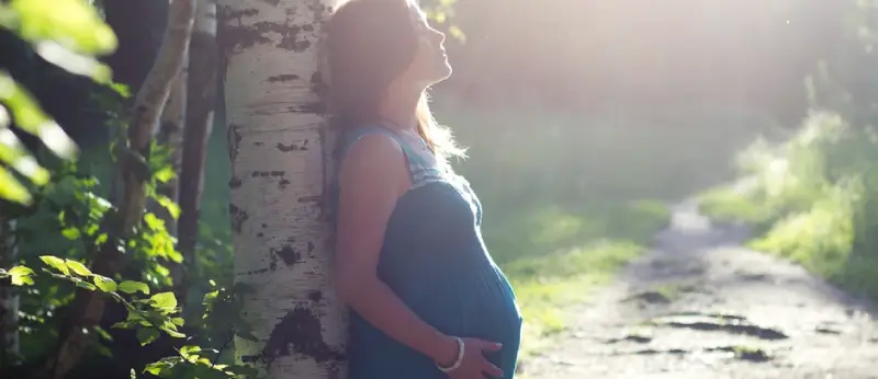 Surrogate mother cost