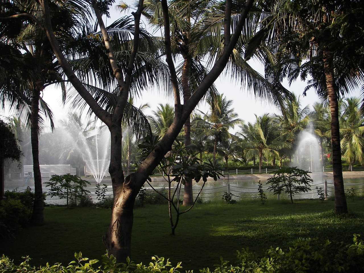 Chennai Smashers: Inspiring Tennis Growth Across India
