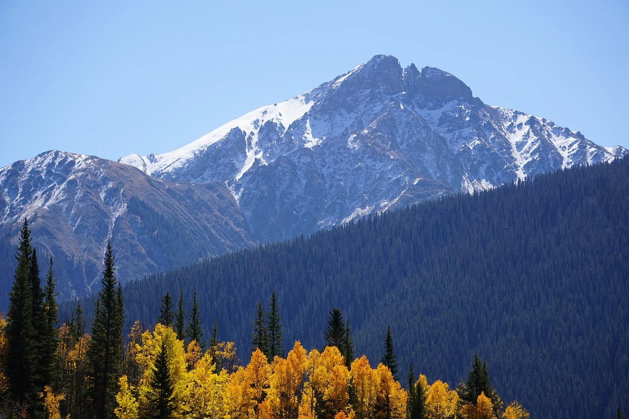 18 Pros and Cons of Aspen Dental You Should Know