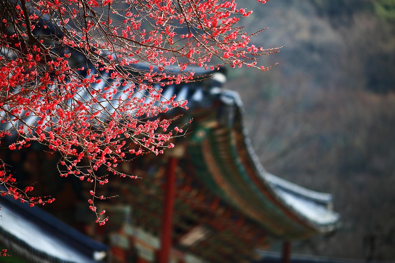 Why Certified Korean Interpreters Are Essential For Business?