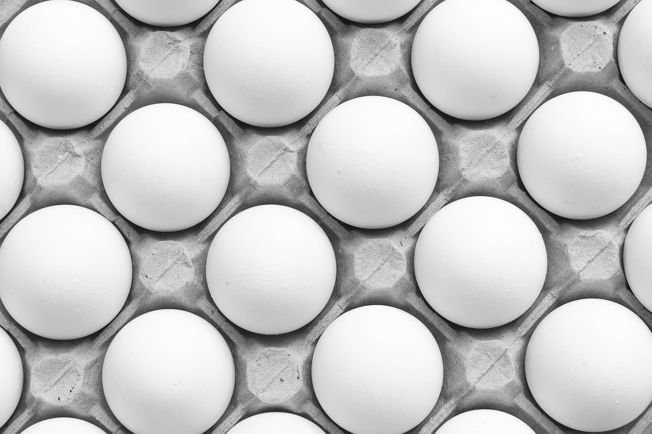 How to Support an Egg Donor Journey in San Diego?