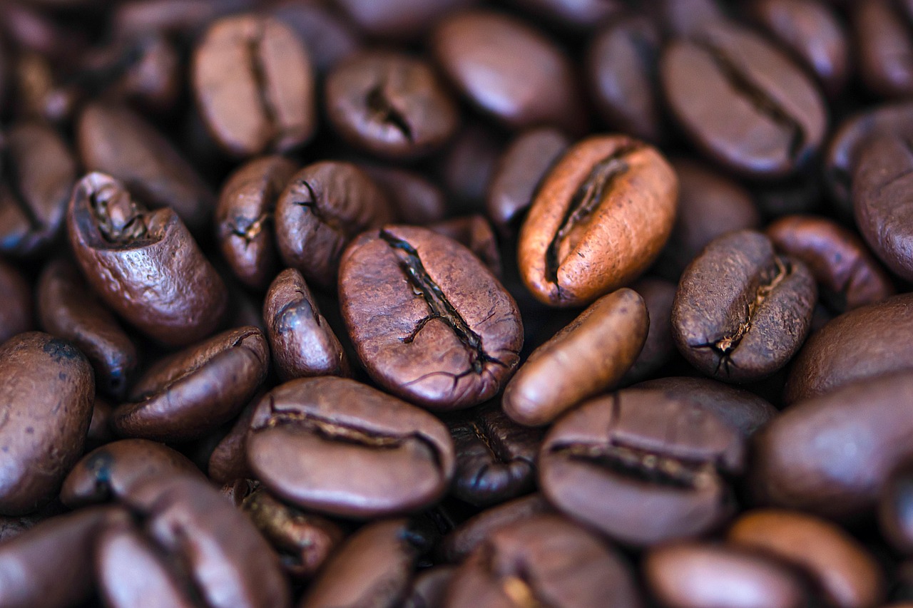 Freshly Roasted Coffee Delivered Monthly to Your Door