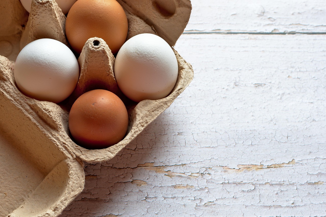 The Egg Donation Process in 2026: A Step-by-Step Guide for First-Time Donors