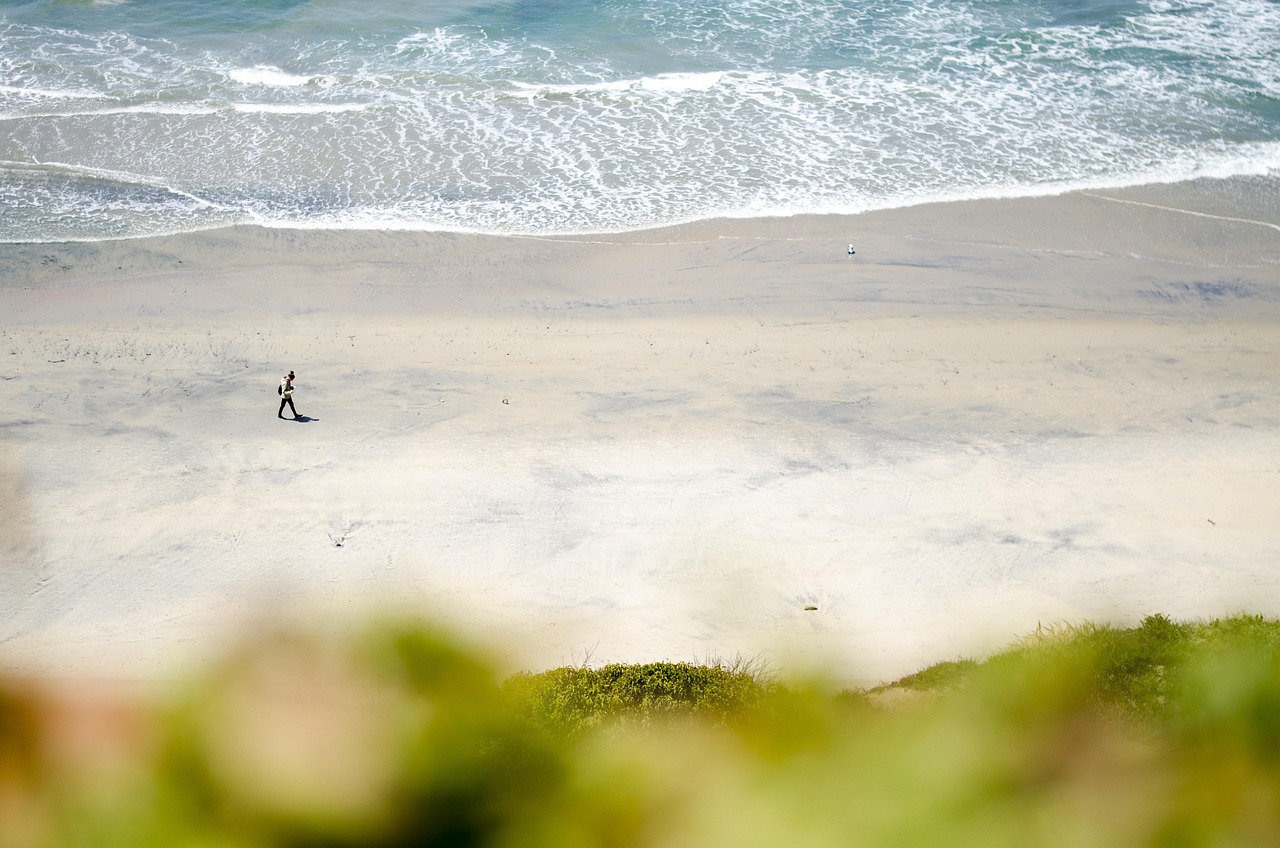 What Is Mini IVF and Why Are More San Diego Patients Choosing It in 2026?