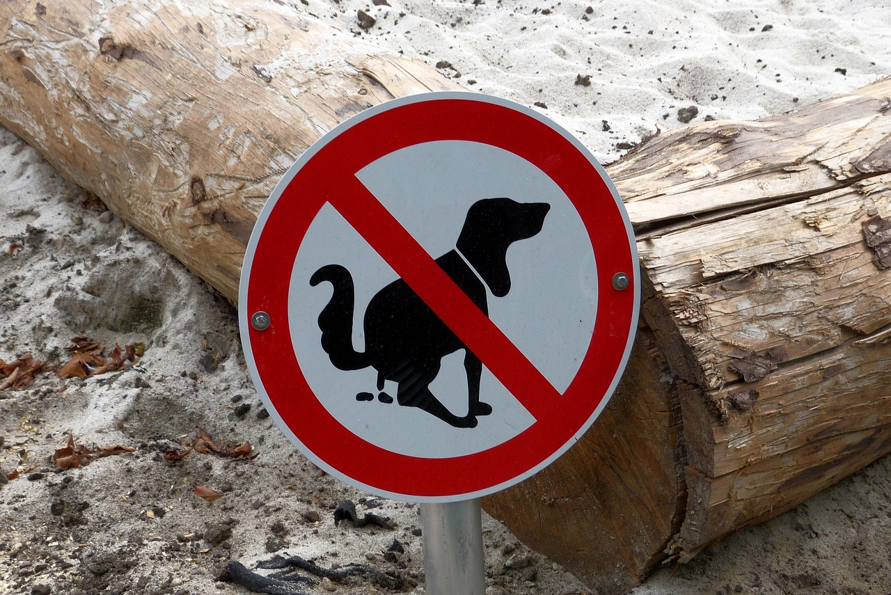 The Importance Of Dog Poop Disposal System In Public Spaces