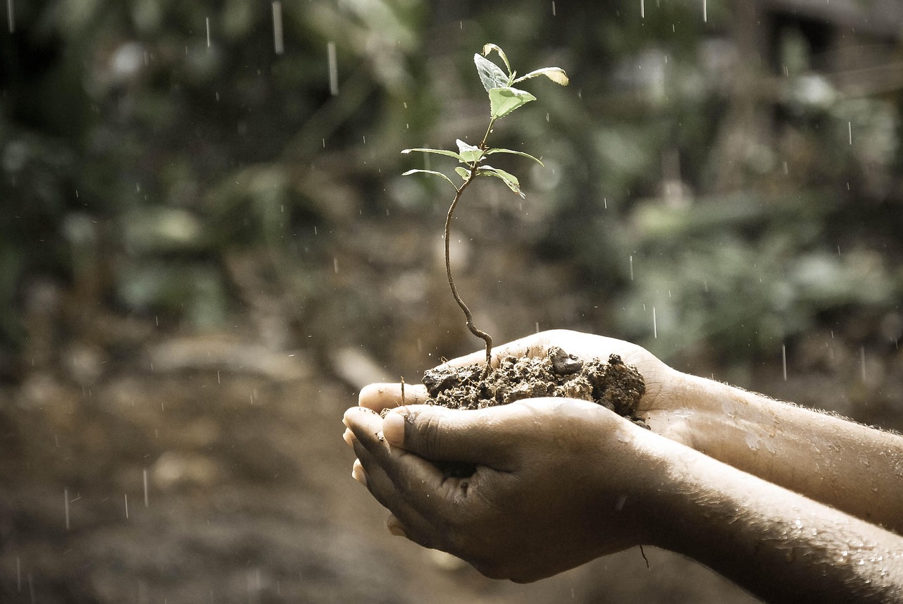 5 Reasons You Need PPE when Growing Cannabis