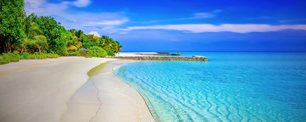 Unearthing Riches: Your Guide to the Power and Purpose of a Sand Dredge