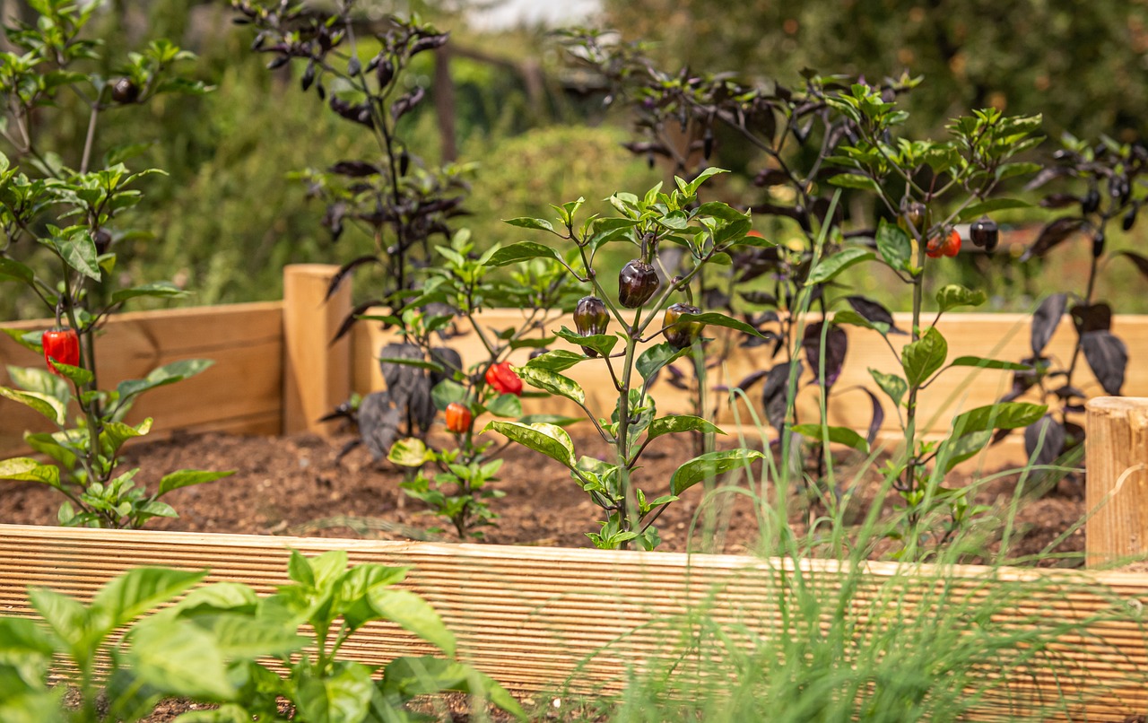 Raised Garden Bed Kit: An Easy And Versatile Solution