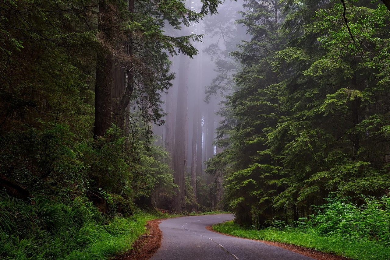 How to Avoid Scams When Buying California Land for Sale?