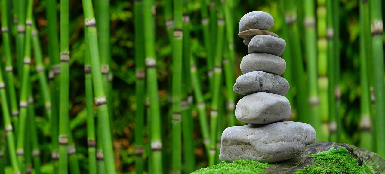 Restoring Balance And Wellness: Exploring Functional Medicine In Chicago