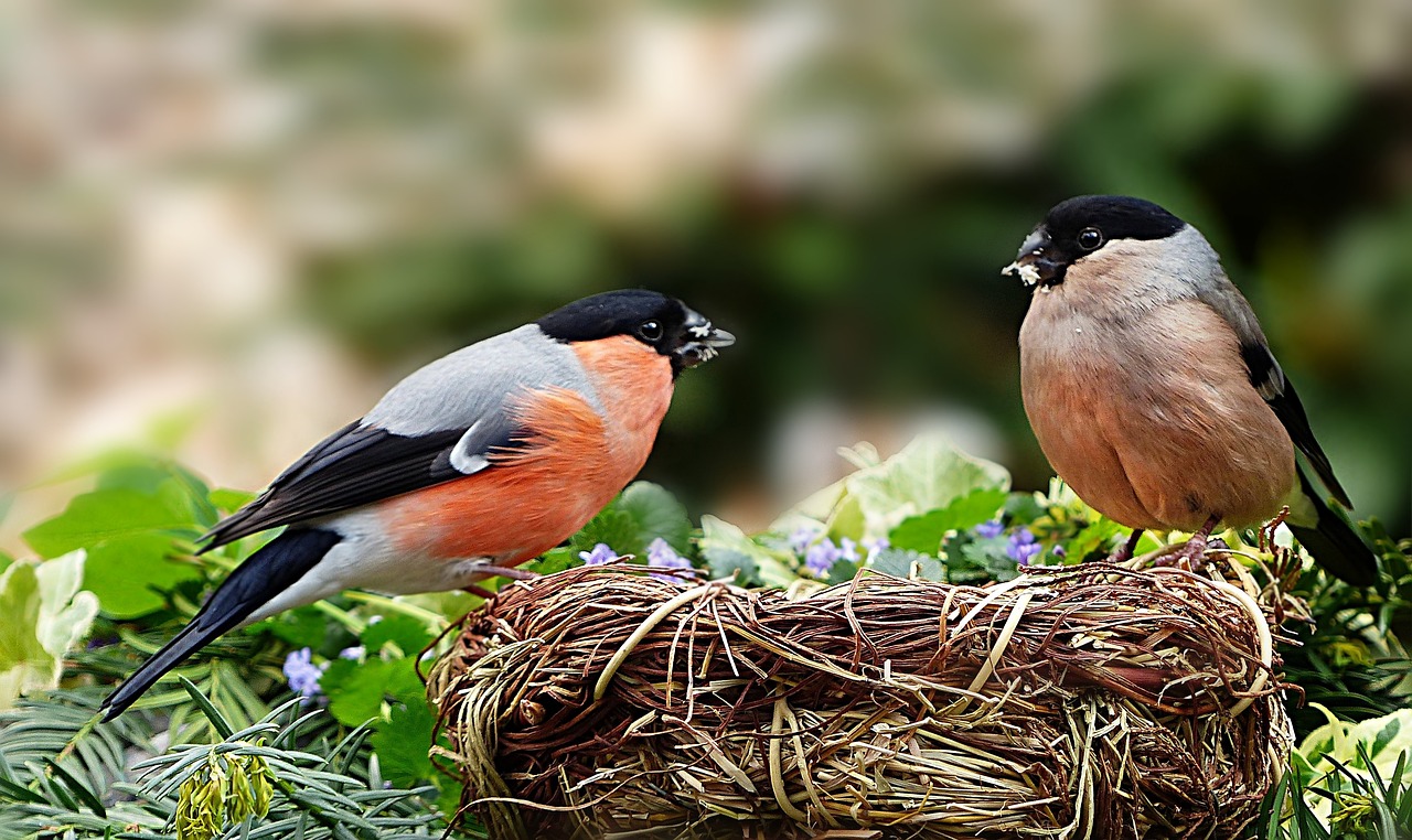 Enjoy Year-Round Gardening With Raised Beds For Sale