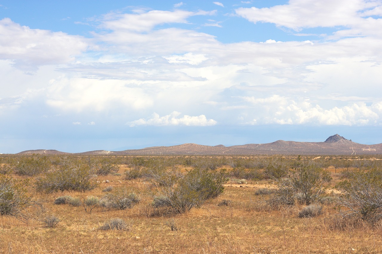 A Quick Guide To California Land For Sale: What You Need To Know In 2025