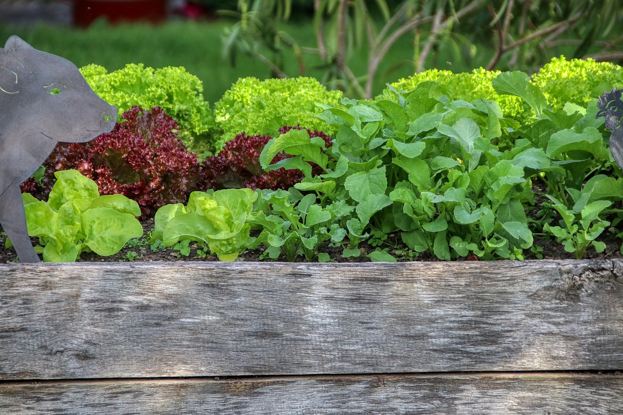 Explore The Possibilities Of A Galvanized Raised Bed Planter