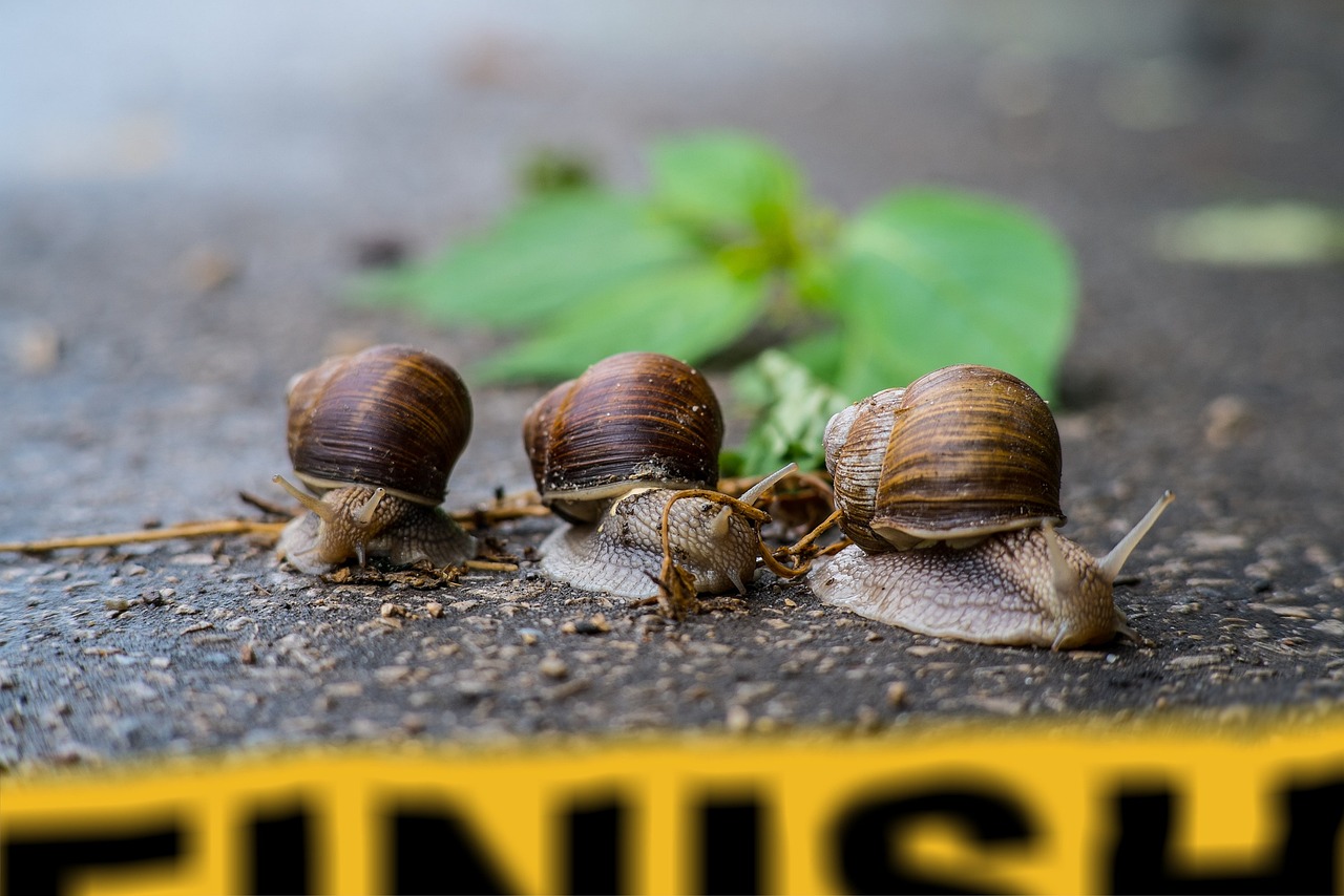 Get The Perfect Finish: Benefits Of Using A  Parking Lot Painter