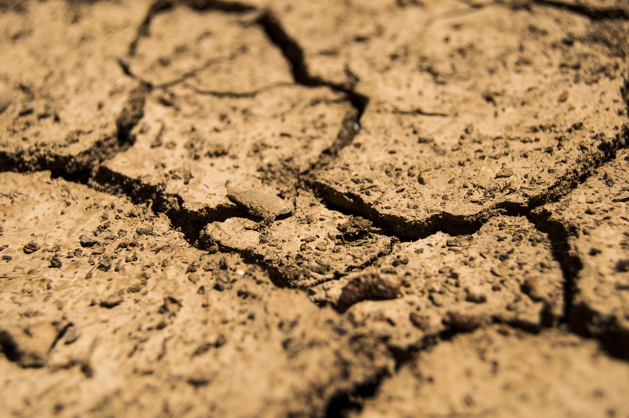 Exploring The Land Down Under Why Renting A Car In Australia Is A Must