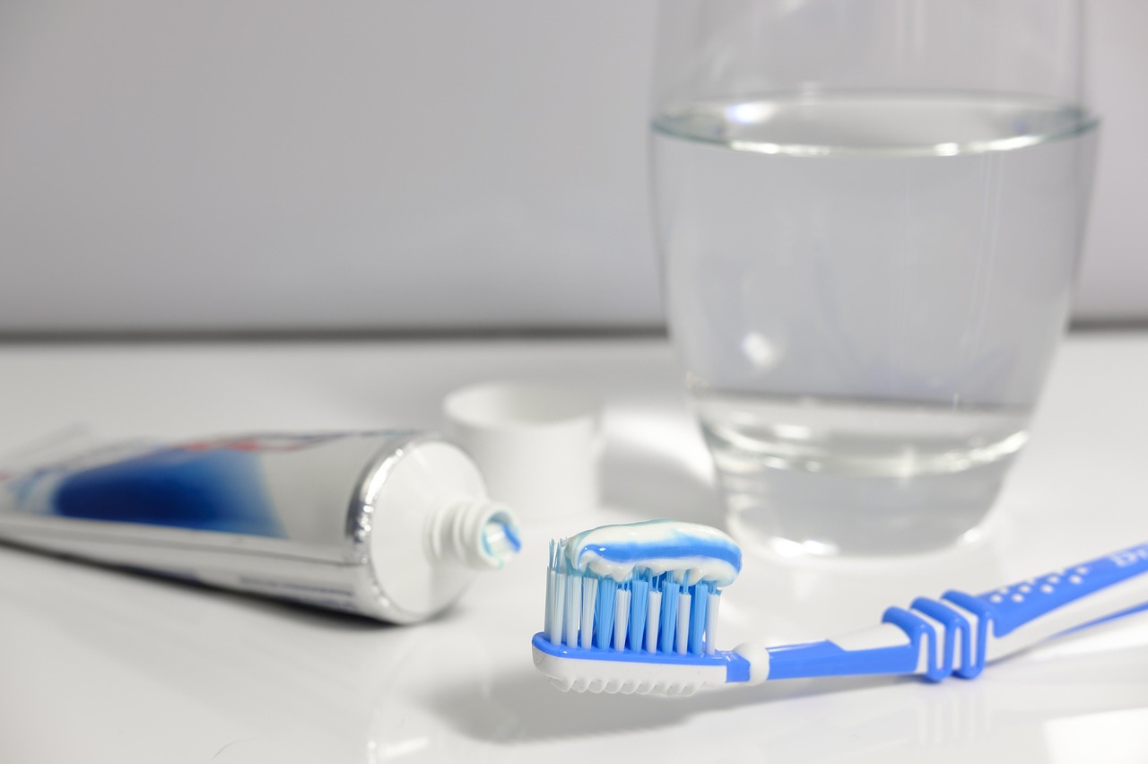 Explore The Range Of Dental Specialties Offered By A Dentist In Tampa Florida