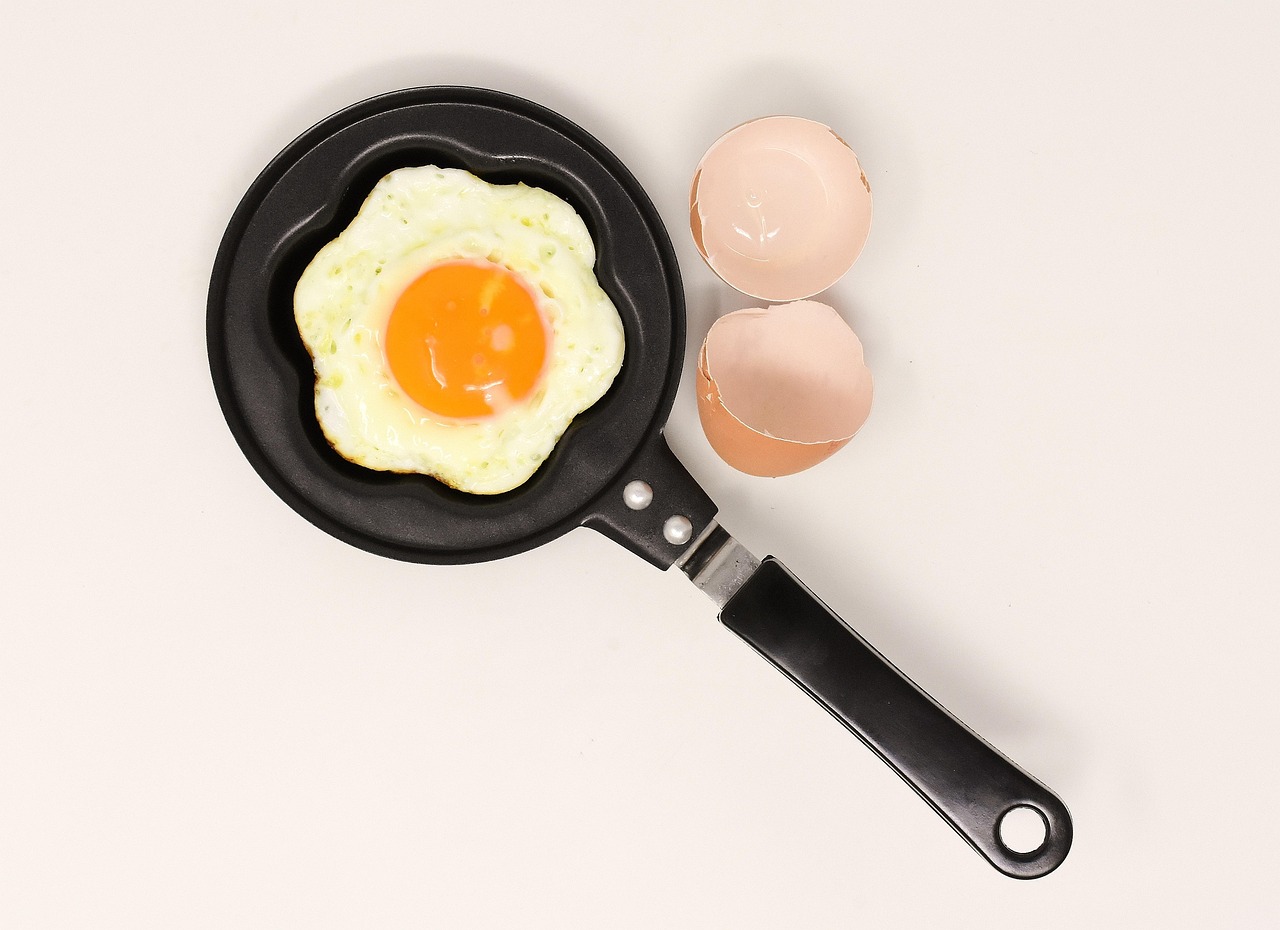 How Egg Donor Matching Services Work: A Step-By-Step Guide?