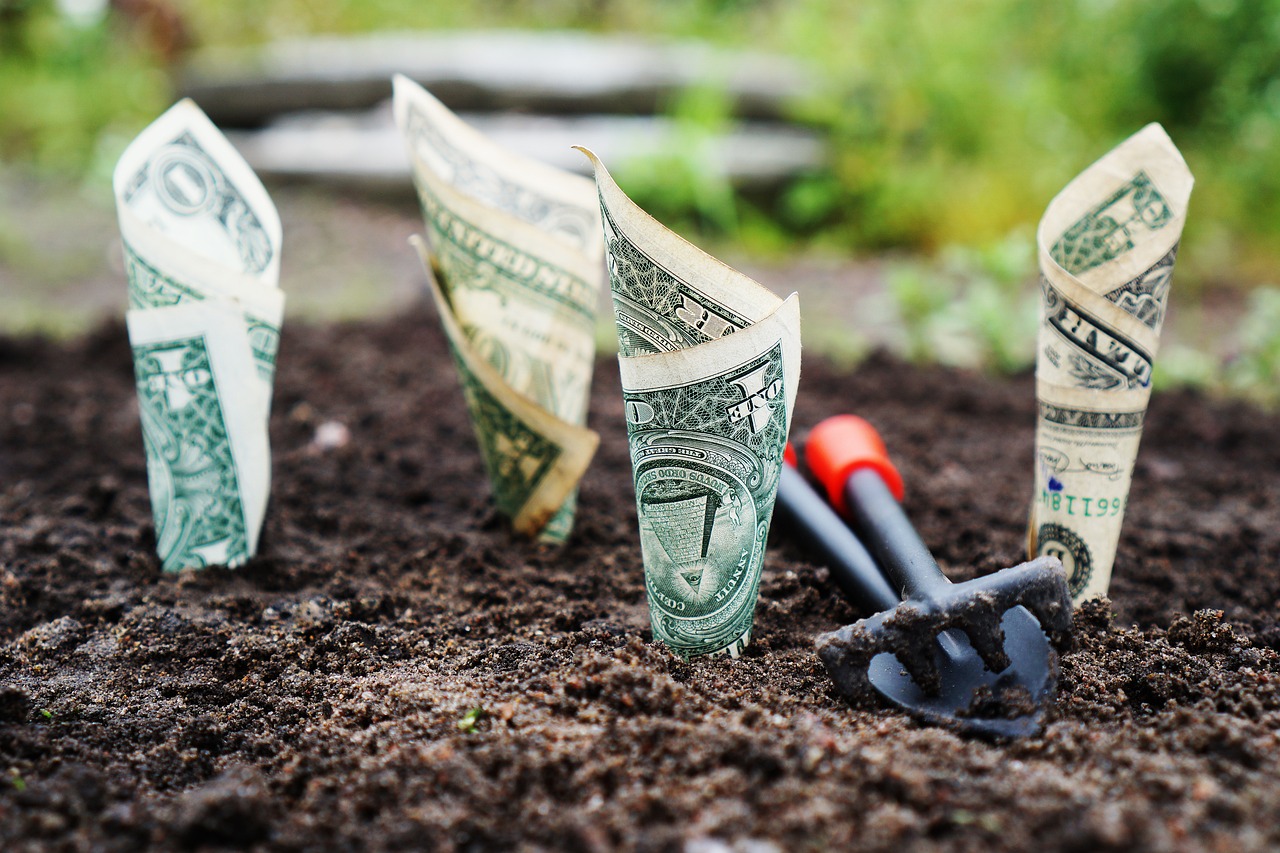 Best Performing Mutual Funds to Invest In India