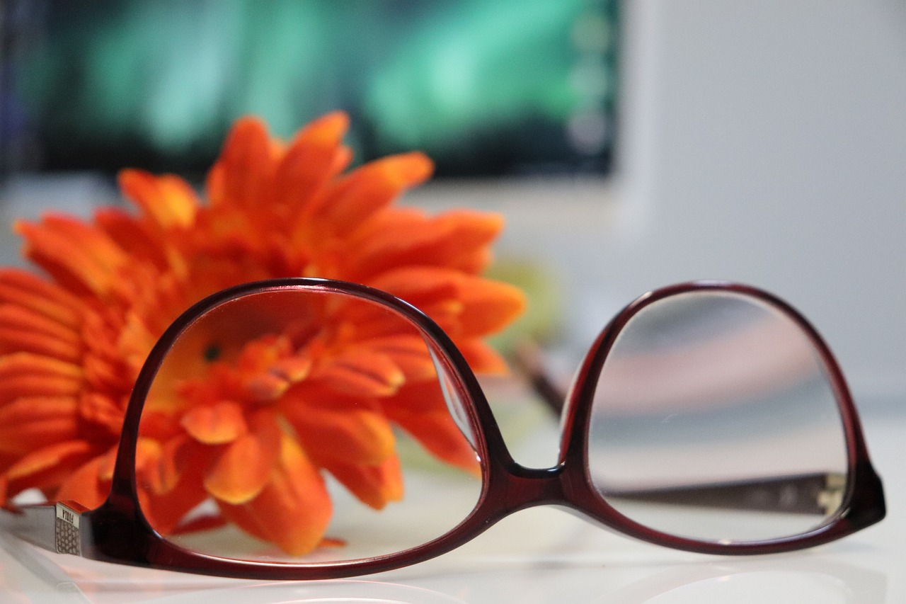 Find Clarity With Psychic Reading In Houston Today