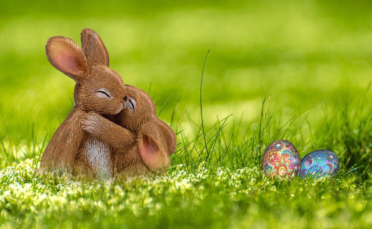 How To Become An Egg Donor: A Step-By-Step Guide?