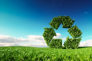Replacements Recyclable