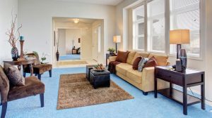 carpet floor