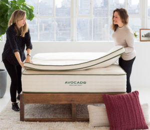 avocado mattresses
