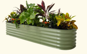 galvanized raised beds