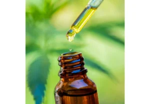 cbd oil