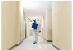 cockroach exterminator in Toronto