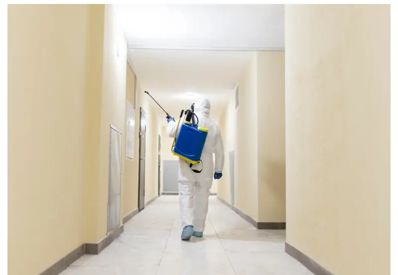 cockroach exterminator in Toronto