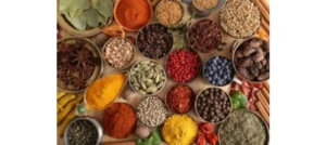 rahul-kumar-6dd9be67ffd8283f11680a2354b543f8230c8138fbd57c6a1cf5c65be81e67ea